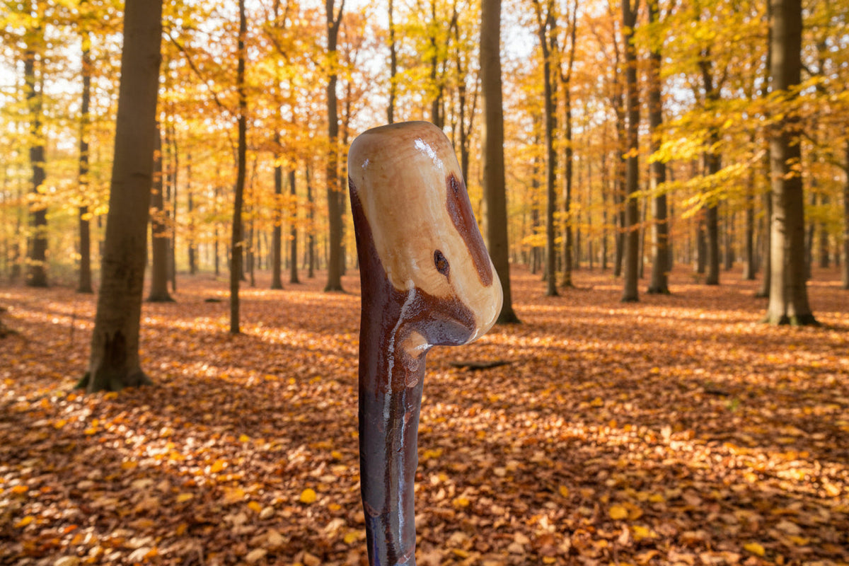 Shillelagh Style Sticks
