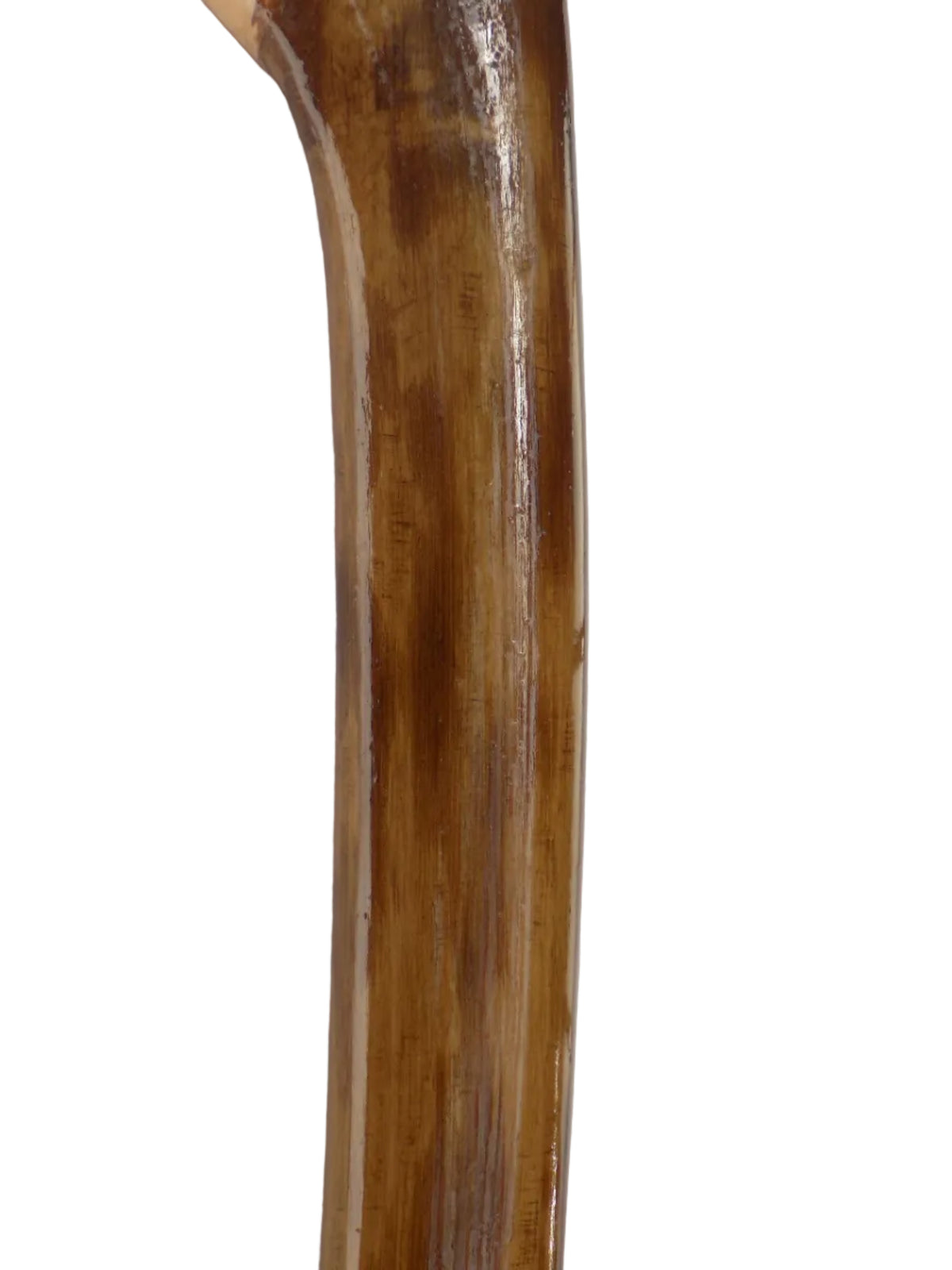 Hazel Knob Stick