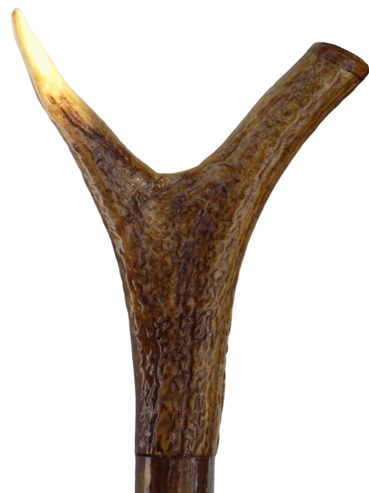 Hardwood Cap & Pointed Antler Mounted On A Hazel Shaft, Thumb Stick.