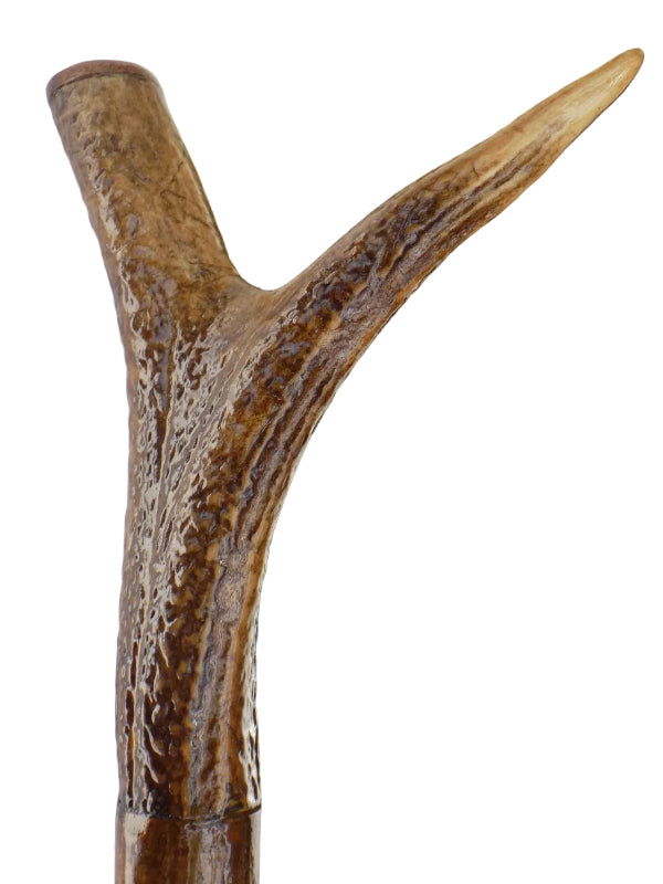 Hardwood Cap & Pointed Antler Mounted On A Hazel Shaft, Thumb Stick.
