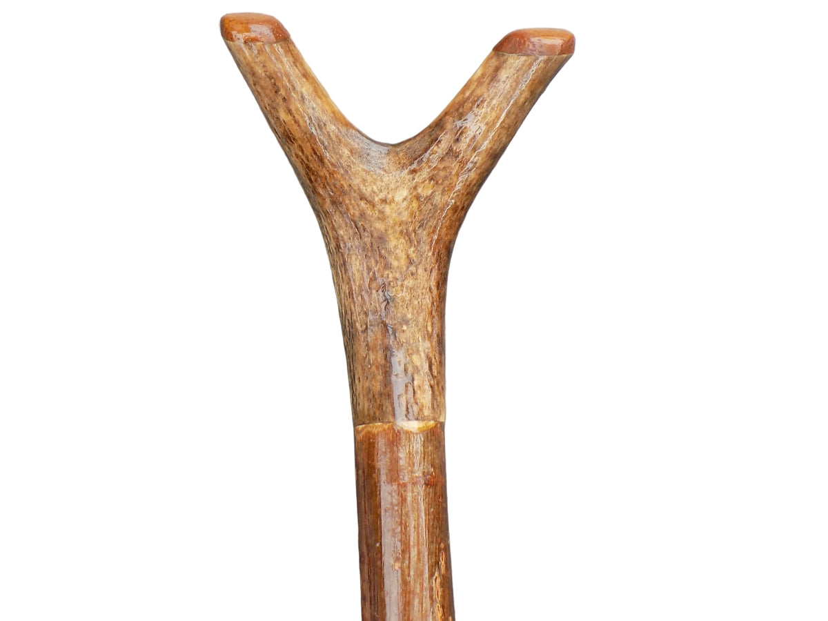 Hardwood Capped Antler Mounted On A Hazel Shaft, Thumb Stick.
