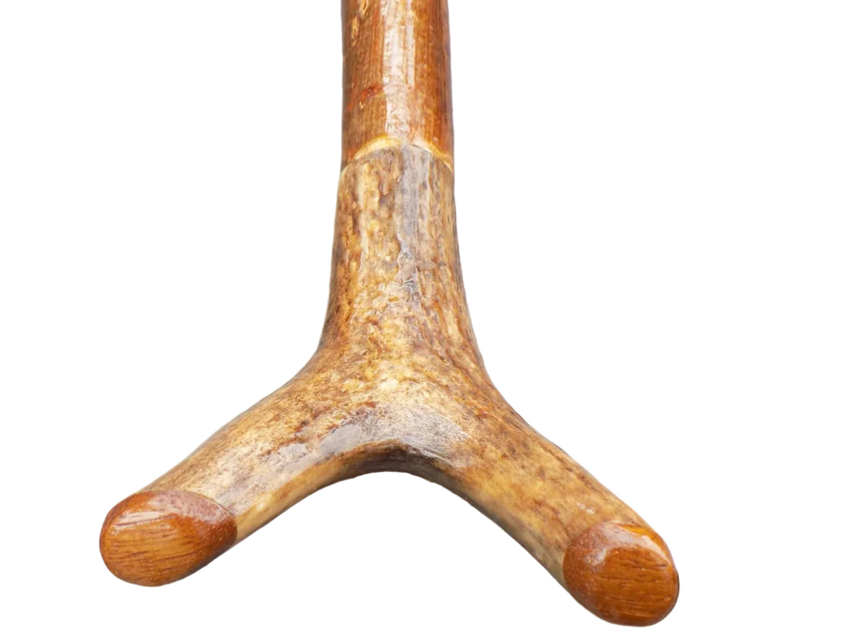Hardwood Capped Antler Mounted On A Hazel Shaft, Thumb Stick.