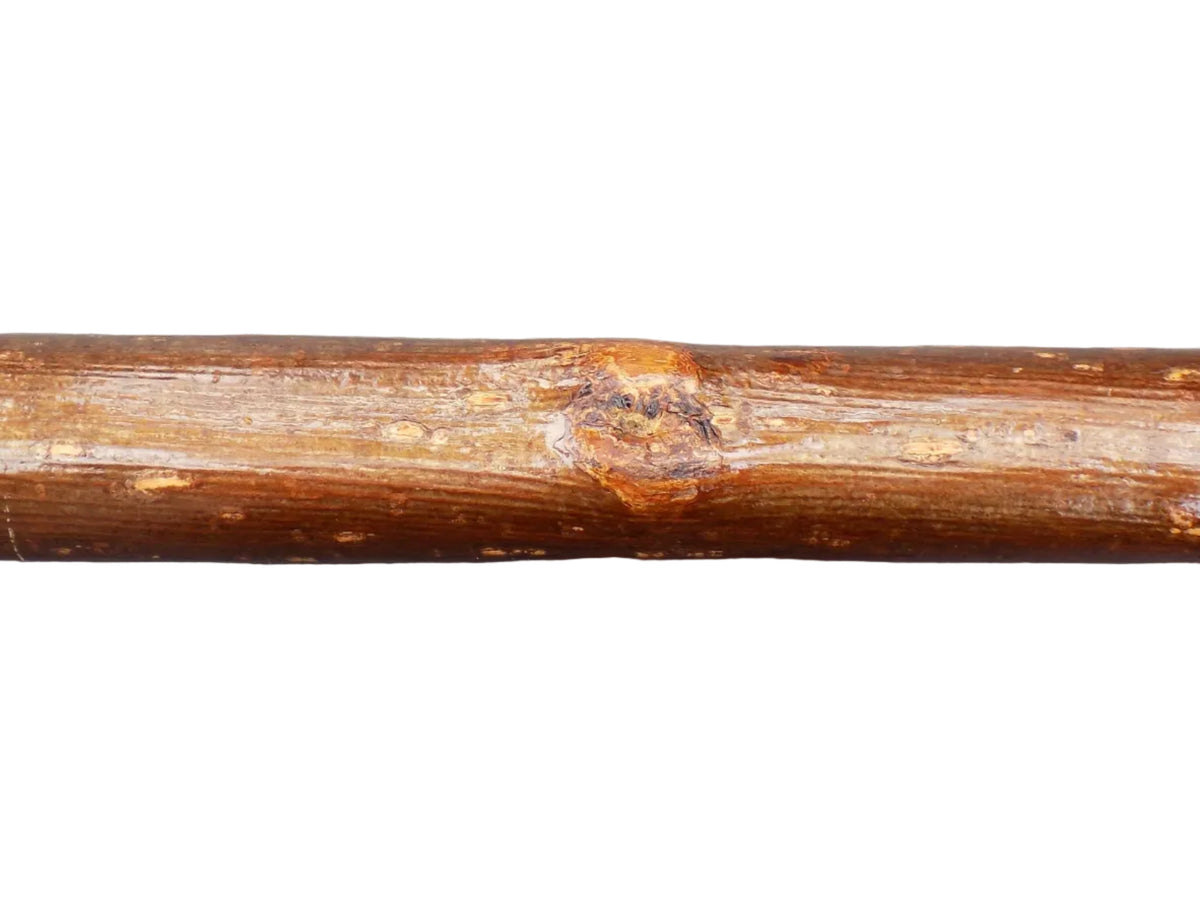 Hardwood Capped Antler Mounted On A Hazel Shaft, Thumb Stick.