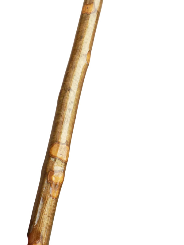 Hazel Hiking Stick With Mottled Shaft.
