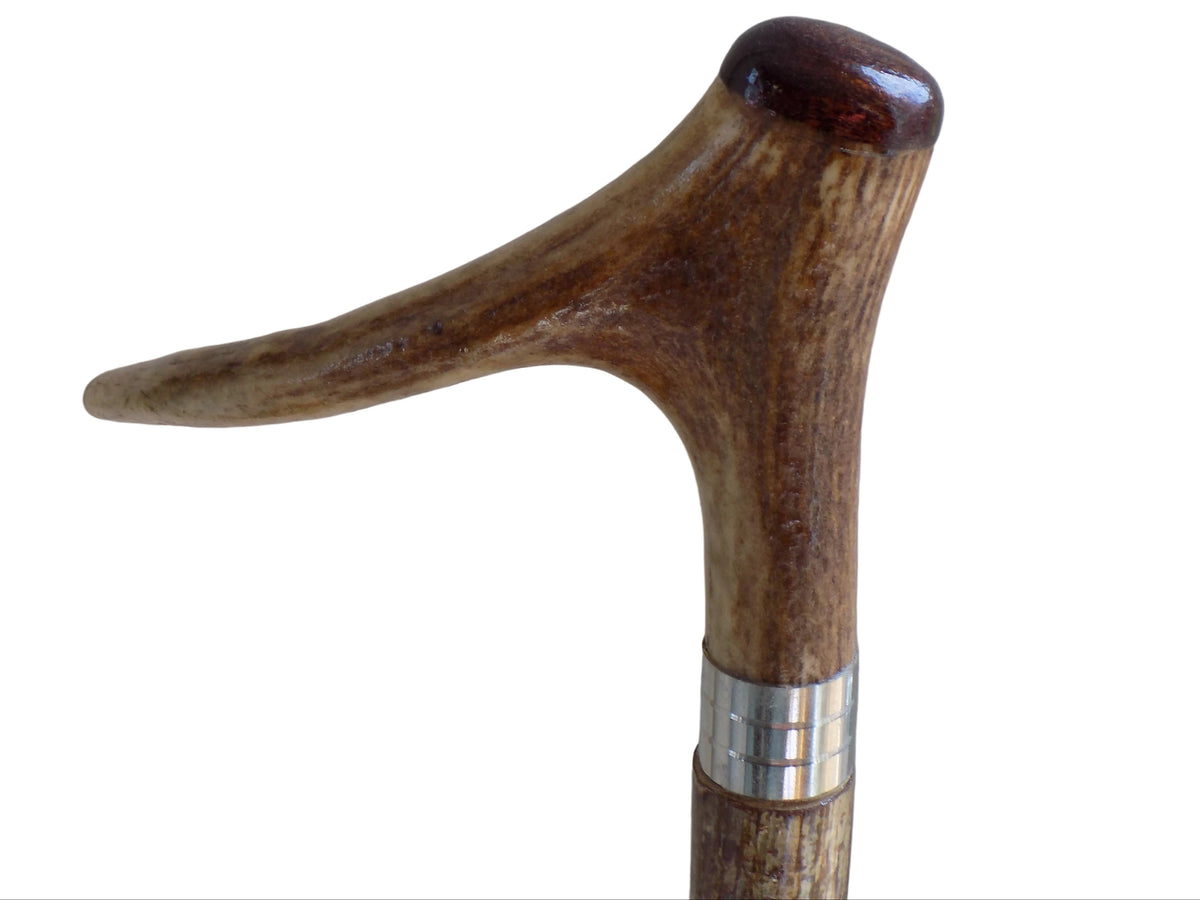 Single Antler Downward Mounted On A Hazel Shaft, Thumb Stick.