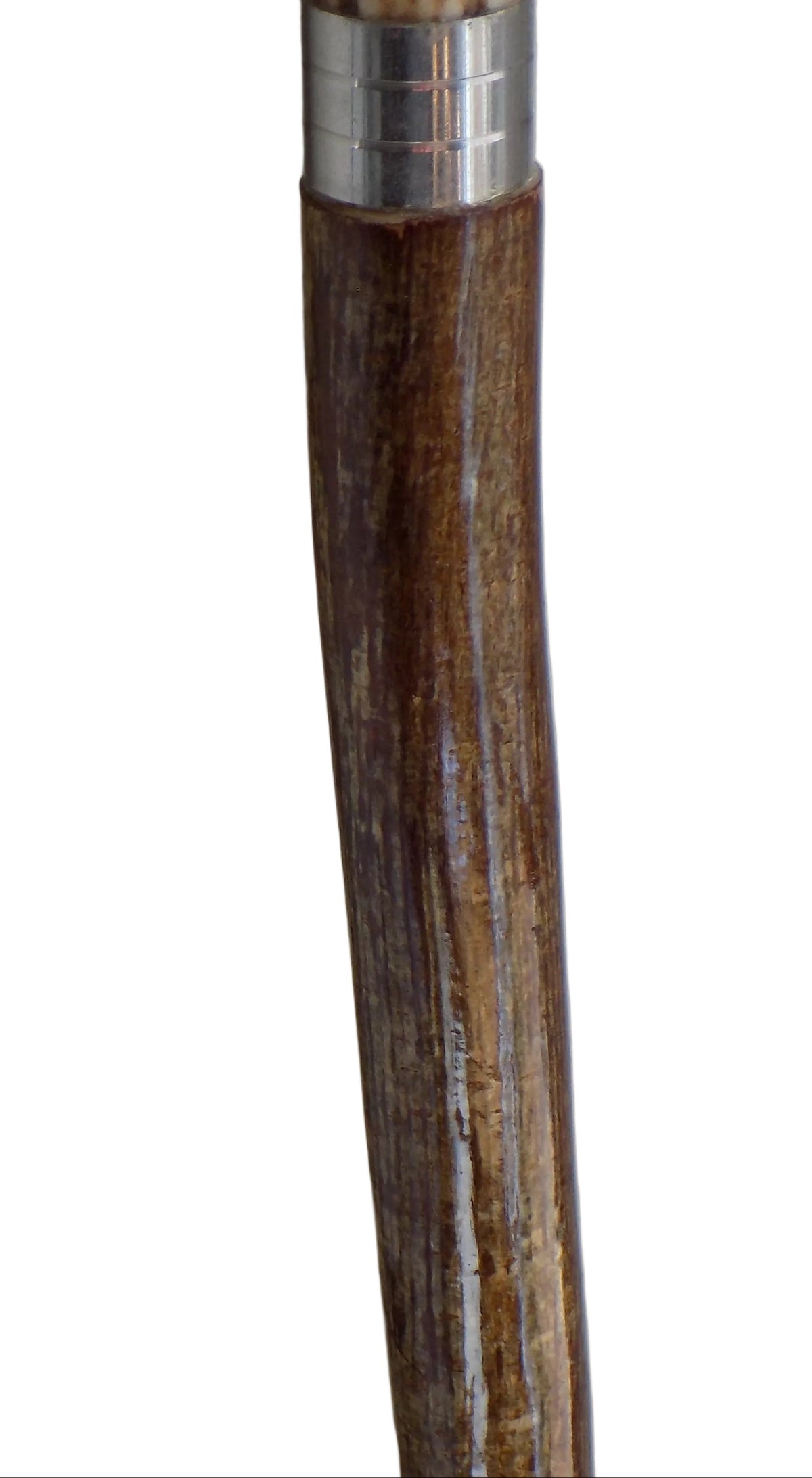 Single Antler Downward Mounted On A Hazel Shaft, Thumb Stick.