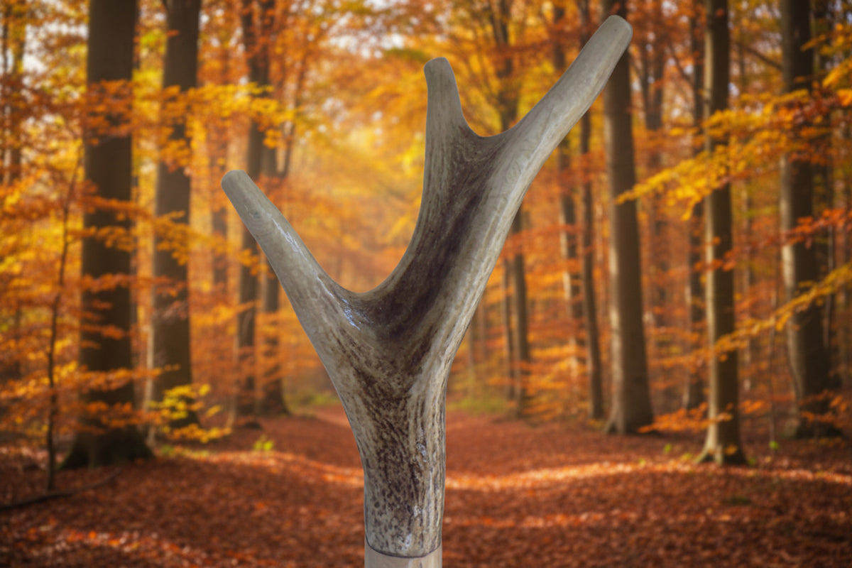 Three Pointed Antler Mounted On A Debarked Hazel Shaft, Thumb Stick.