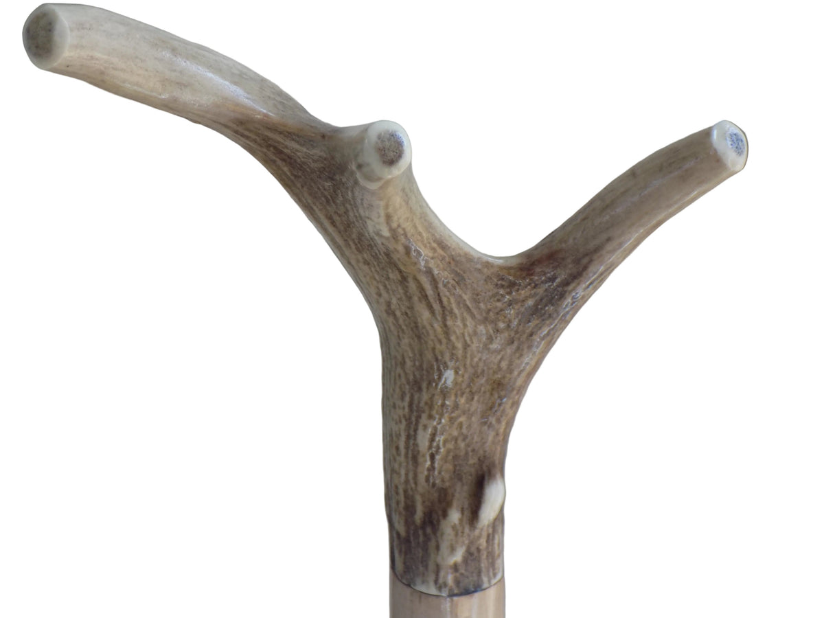Three Pointed Antler Mounted On A Debarked Hazel Shaft, Thumb Stick.