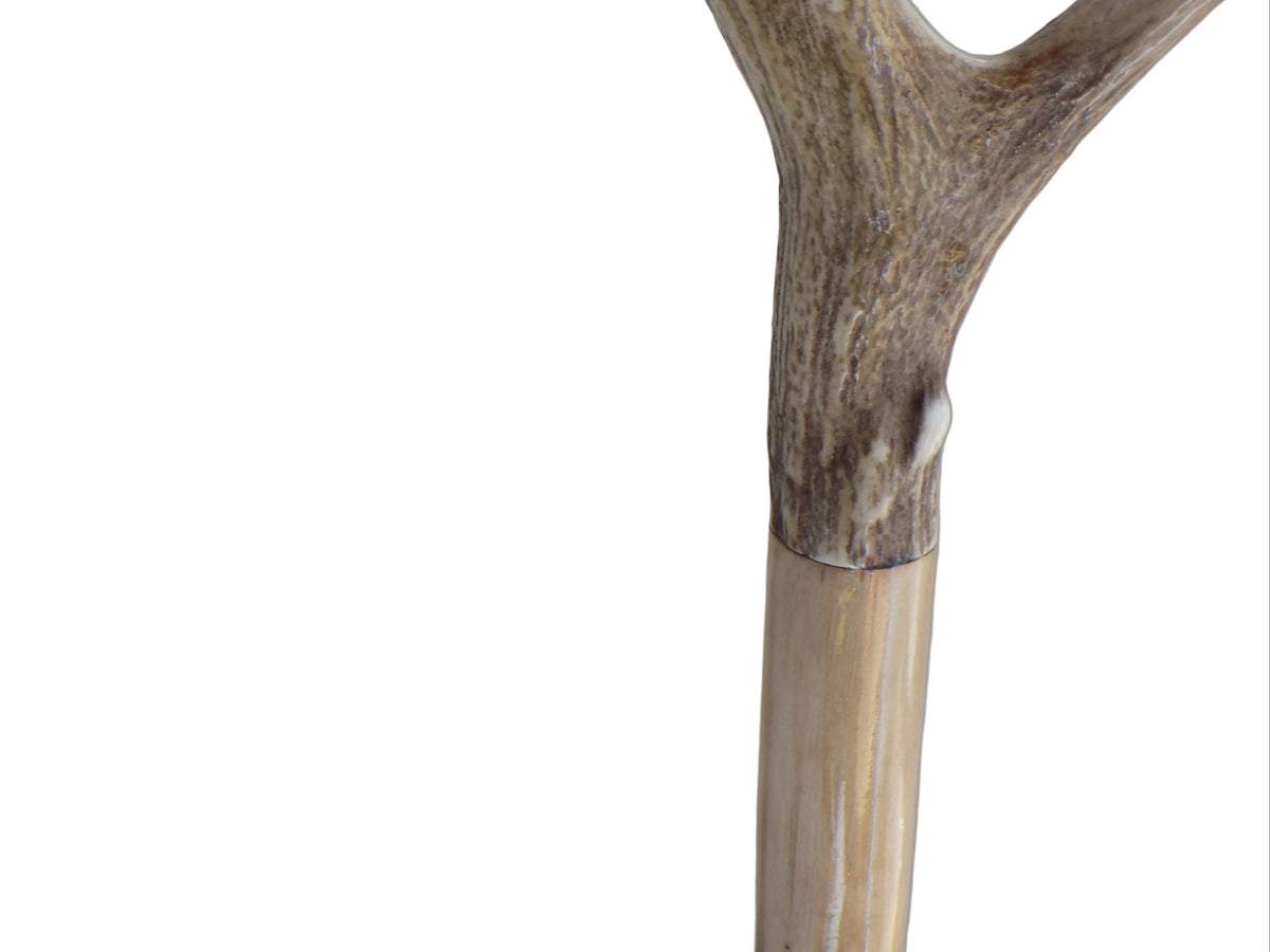 Three Pointed Antler Mounted On A Debarked Hazel Shaft, Thumb Stick.