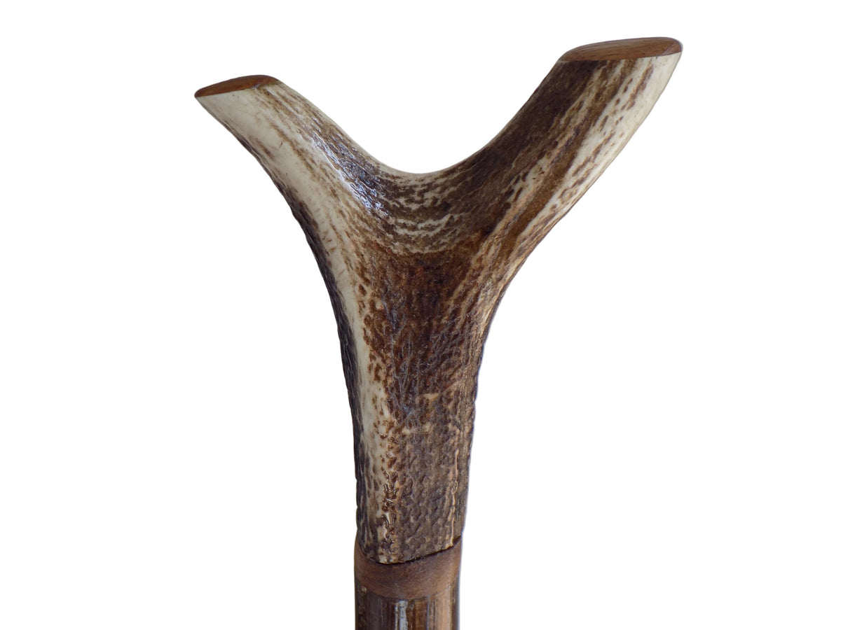 Hardwood Capped Antler Mounted On A Hazel Shaft, Thumb Stick.