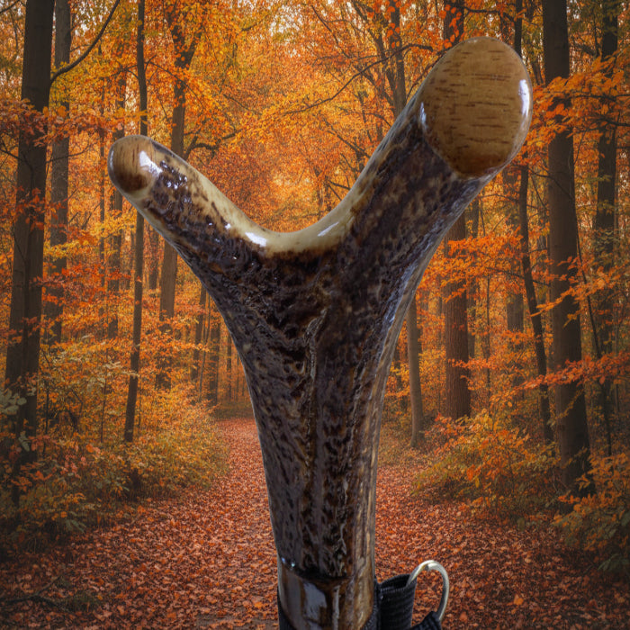 Hardwood Capped Antler Mounted On A Hazel Shaft, Thumb Stick.