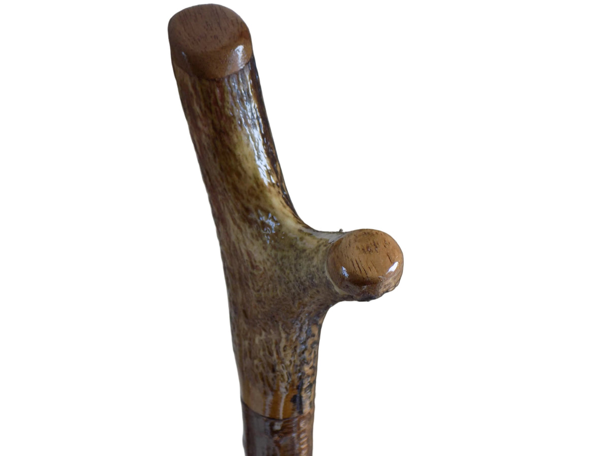 Hardwood Capped Antler Mounted On A Hazel Shaft, Thumb Stick.