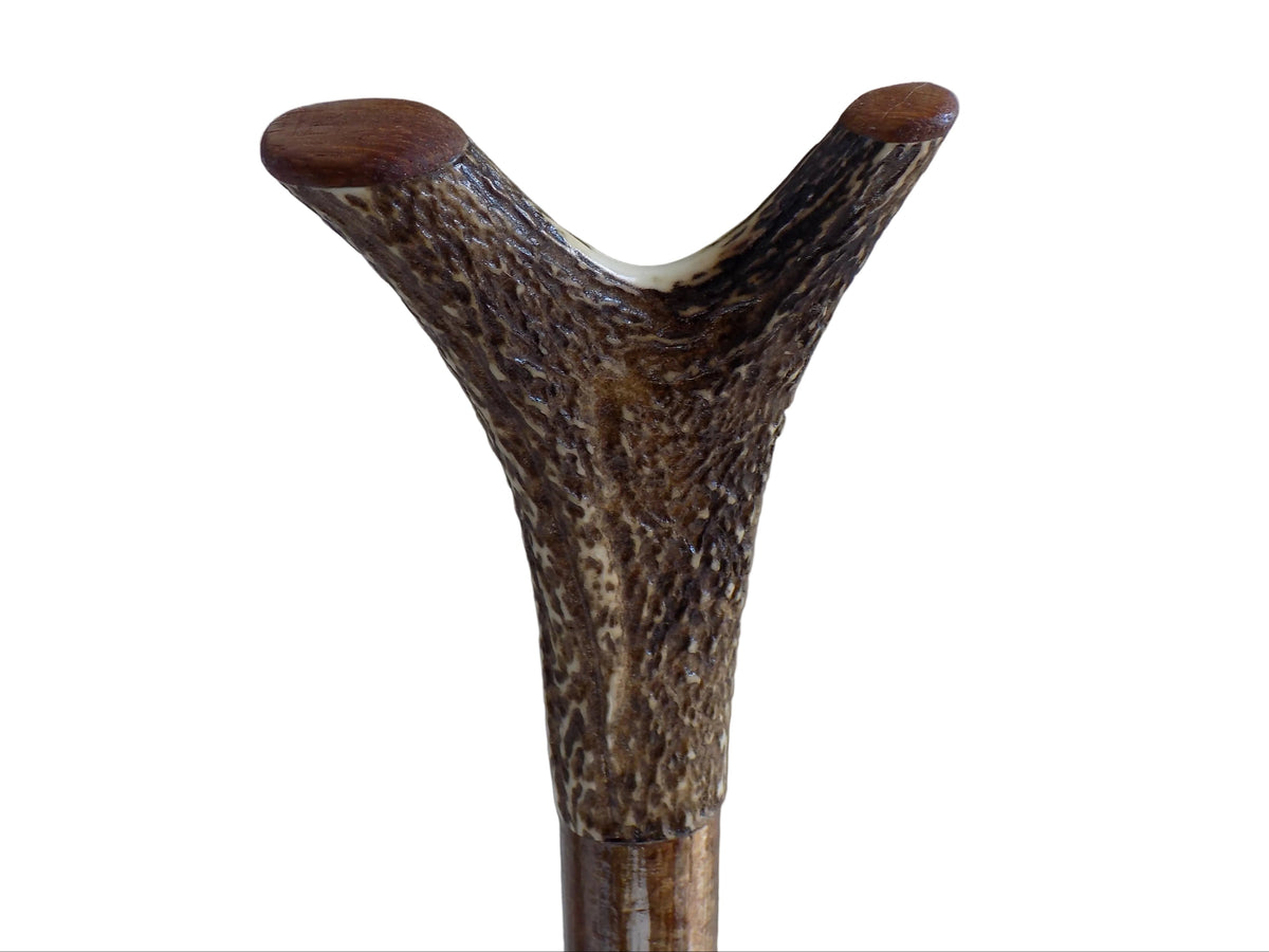 Hardwood Capped Antler Mounted On A Hazel Shaft, Thumb Stick.