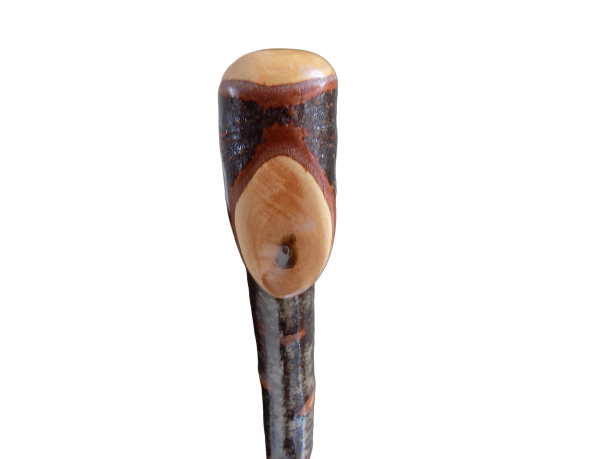 Blackthorn Shillelagh Style Stick.