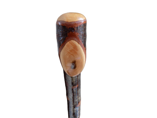 Blackthorn Shillelagh Style Stick.