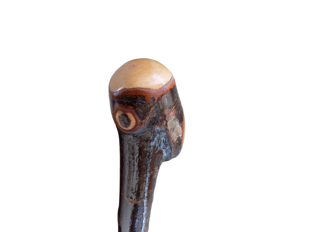 Blackthorn Shillelagh Style Stick.