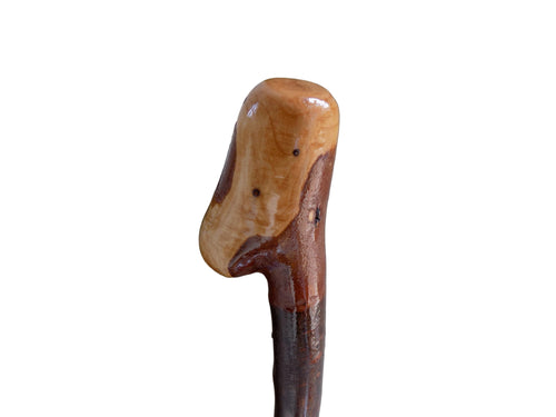 Blackthorn Shillelagh Style Stick.