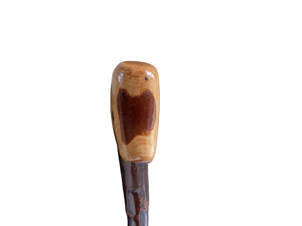 Blackthorn Shillelagh Style Stick.