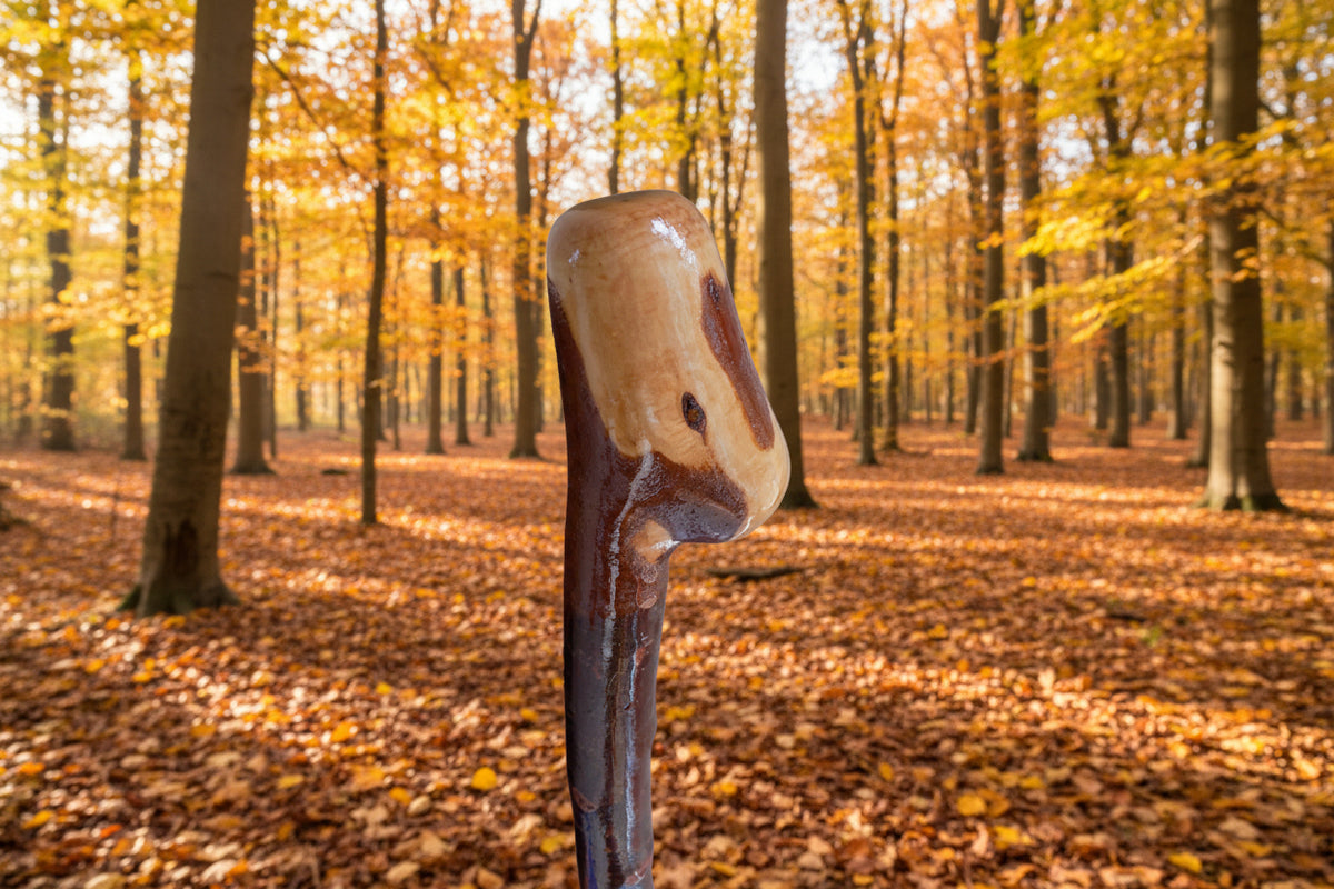 Blackthorn Shillelagh Style Stick.