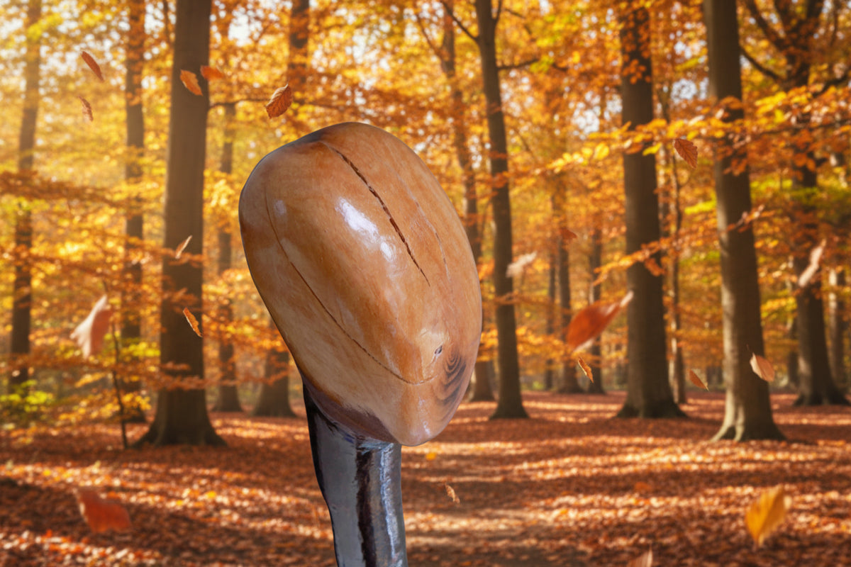 Blackthorn Knob Stick