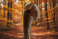 Hazel Knob Stick