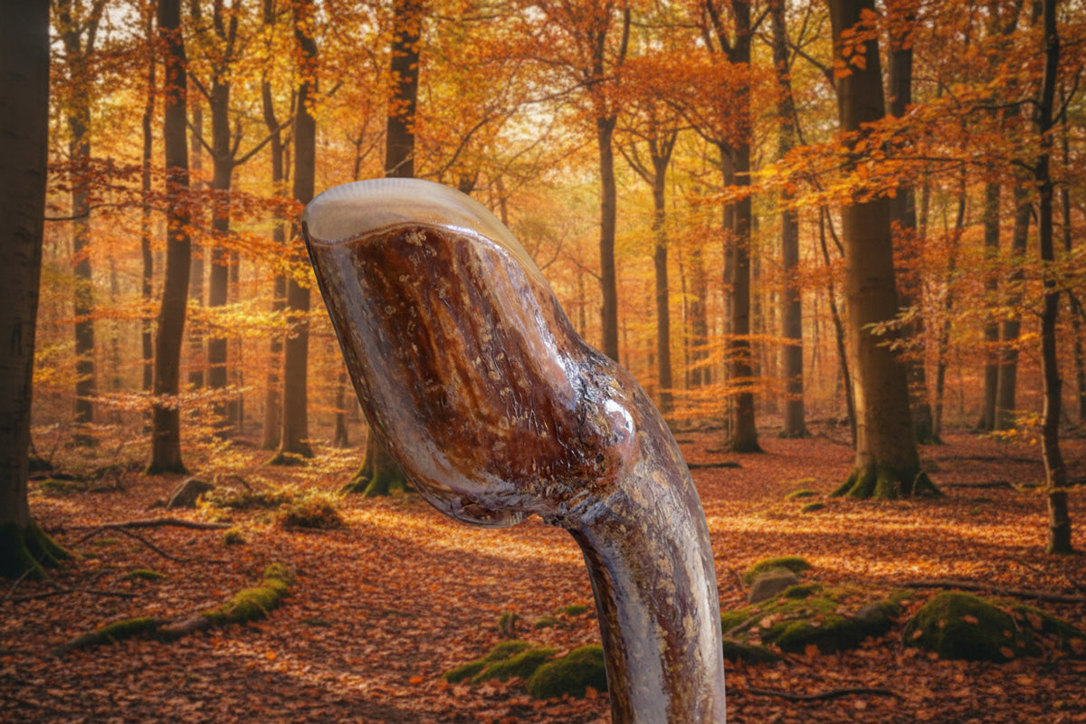 Hazel Knob Stick