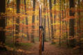 Hazel Hiking Stick With Mottled Shaft.
