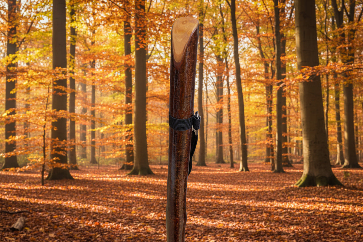 Hazel Hiking Stick.