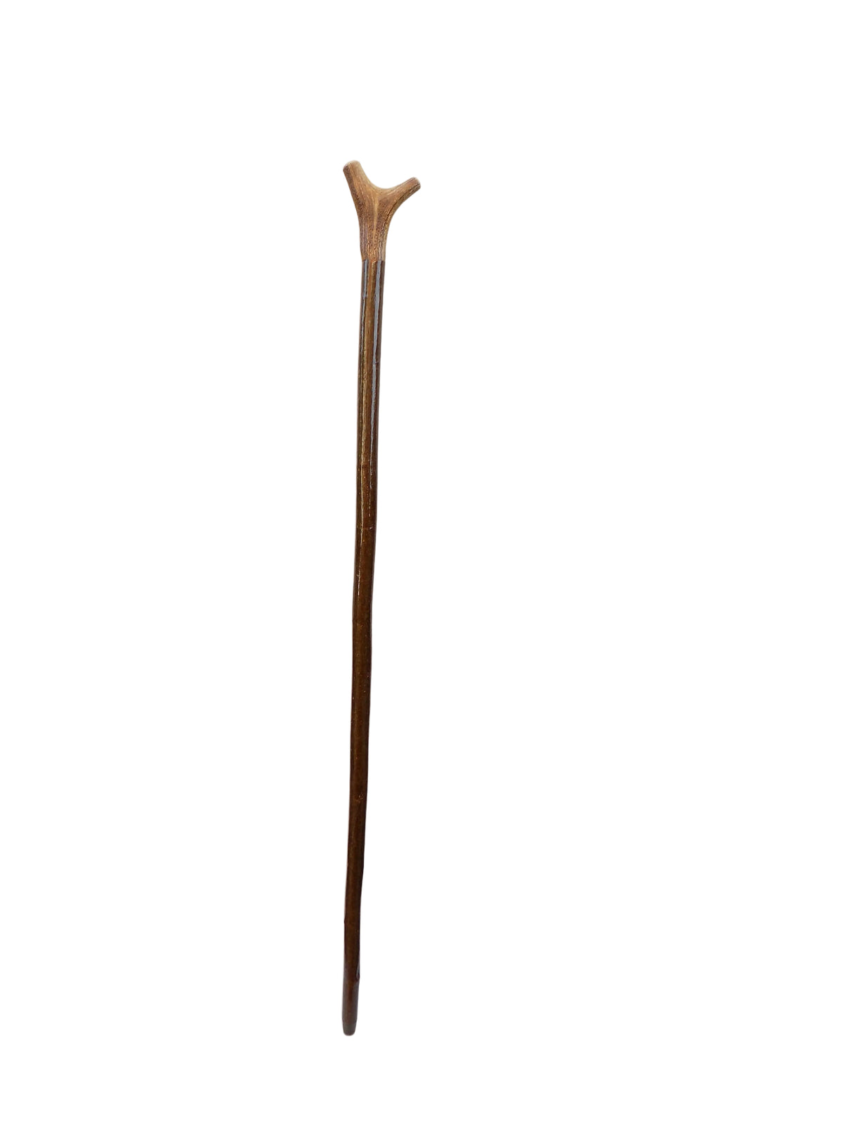 Two Pointed Antler Mounted On A Hazel Shaft, Thumb Stick.