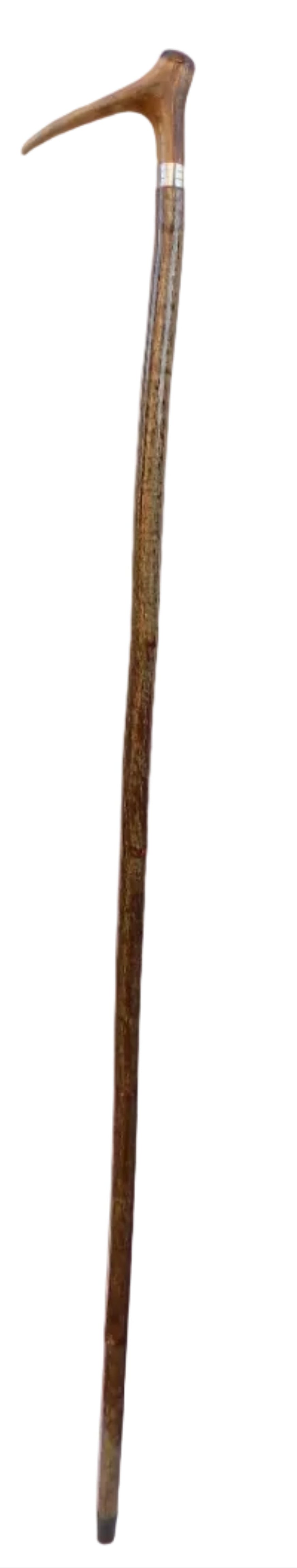 Single Antler Downward Mounted On A Hazel Shaft, Thumb Stick.