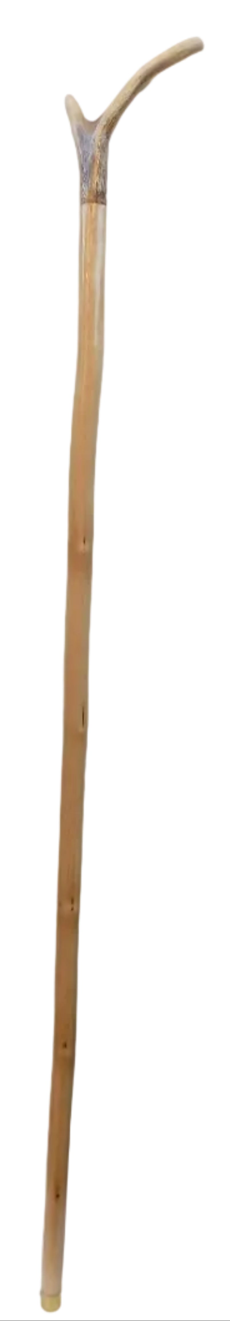 Three Pointed Antler Mounted On A Debarked Hazel Shaft, Thumb Stick.