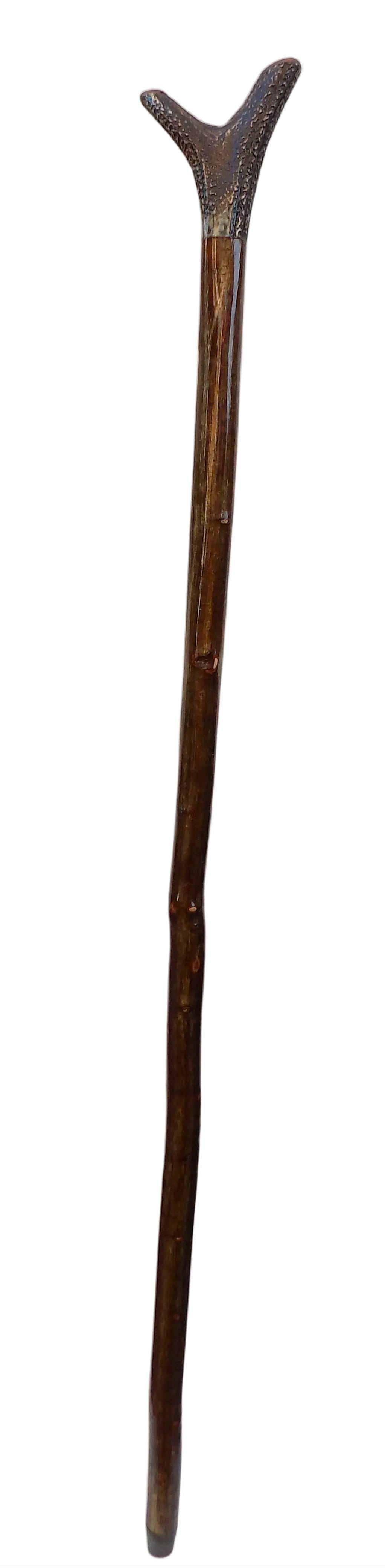 Hardwood Capped Antler Mounted On A Hazel Shaft, Thumb Stick.
