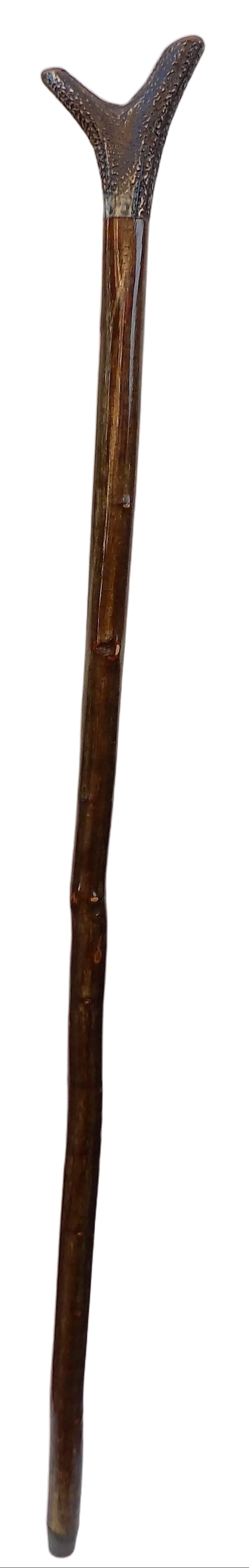 Hardwood Capped Antler Mounted On A Hazel Shaft, Thumb Stick.
