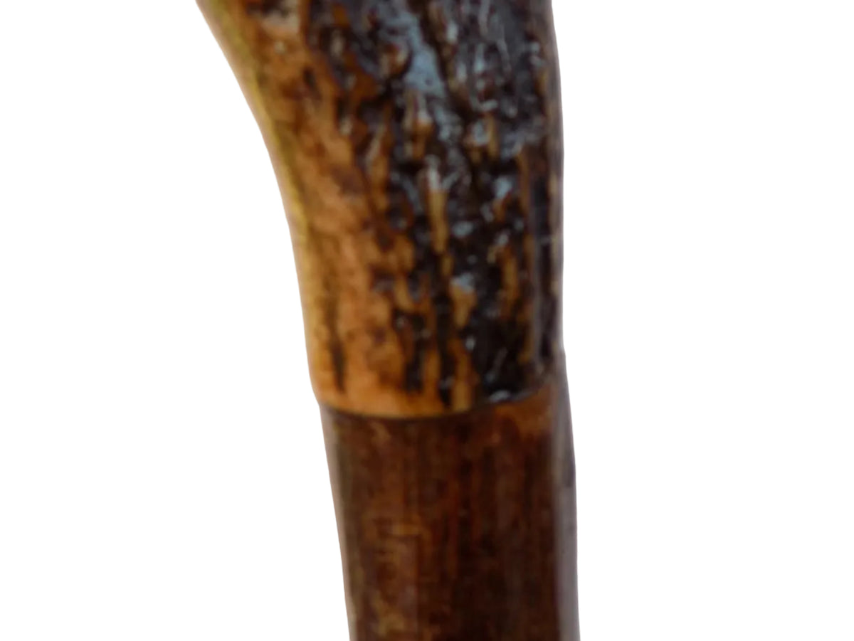 Hardwood Cap And Pointed Antler Mounted Hazel Shaft, Thumb Stick.