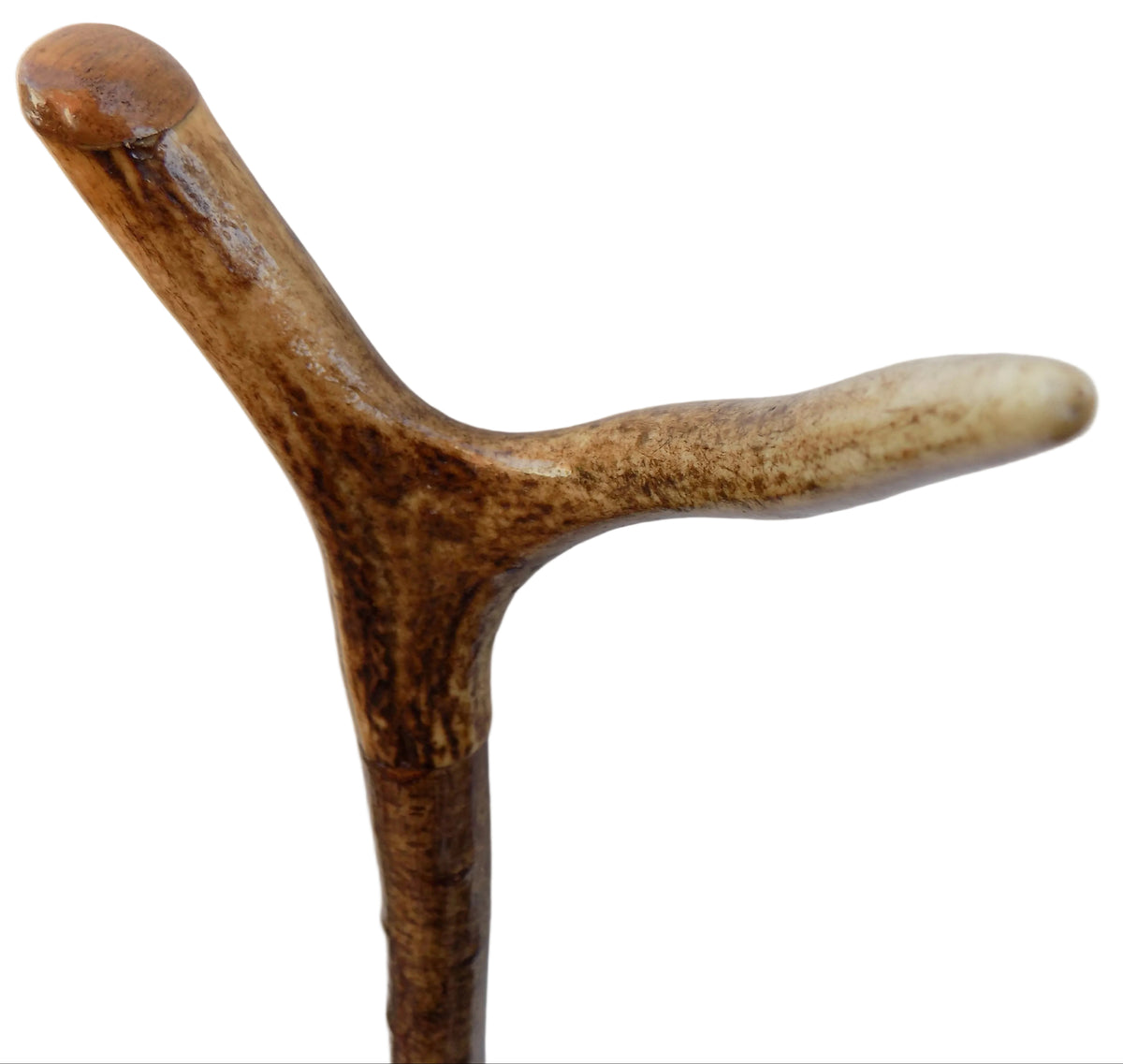 Hardwood Cap And Pointed Antler Mounted Hazel Shaft, Thumb Stick.