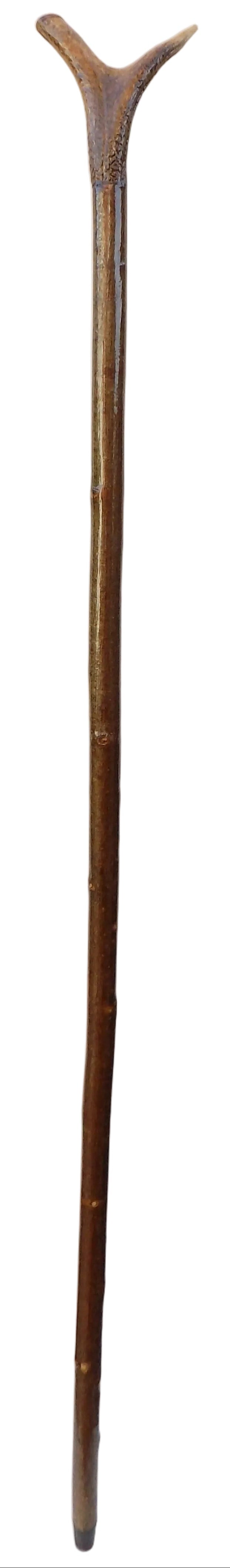 Hardwood Cap & Pointed Antler Mounted On A Hazel Shaft, Thumb Stick.