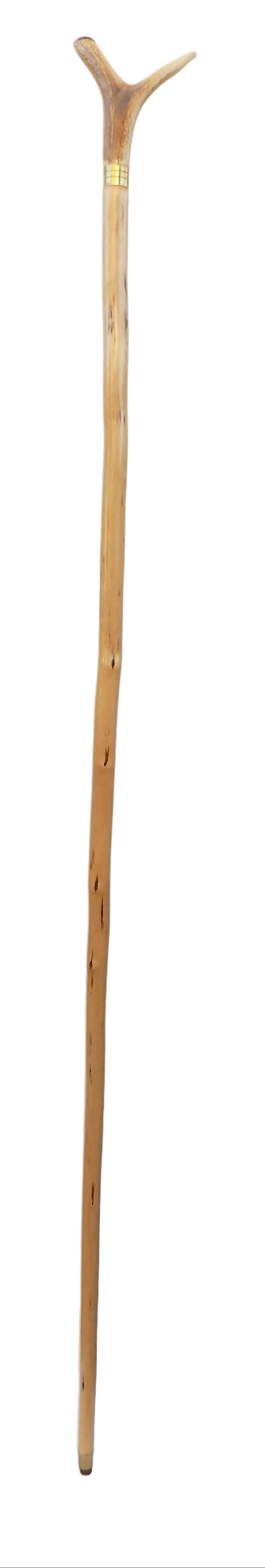 Hardwood Cap & Pointed Antler Mounted On A Debarked Hazel Shaft, Thumb Stick.