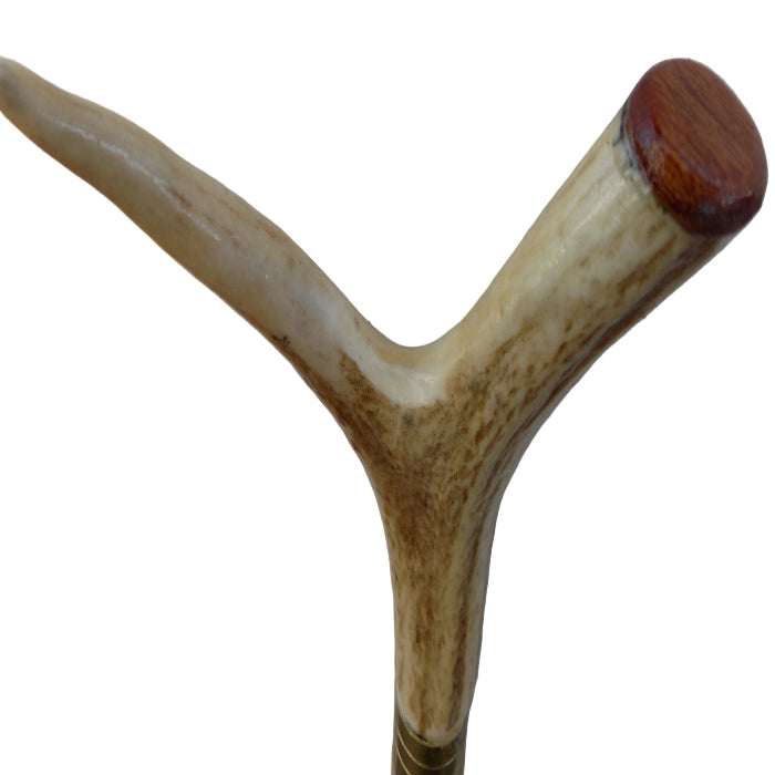 Hardwood Cap & Pointed Antler Mounted On A Debarked Hazel Shaft, Thumb Stick.