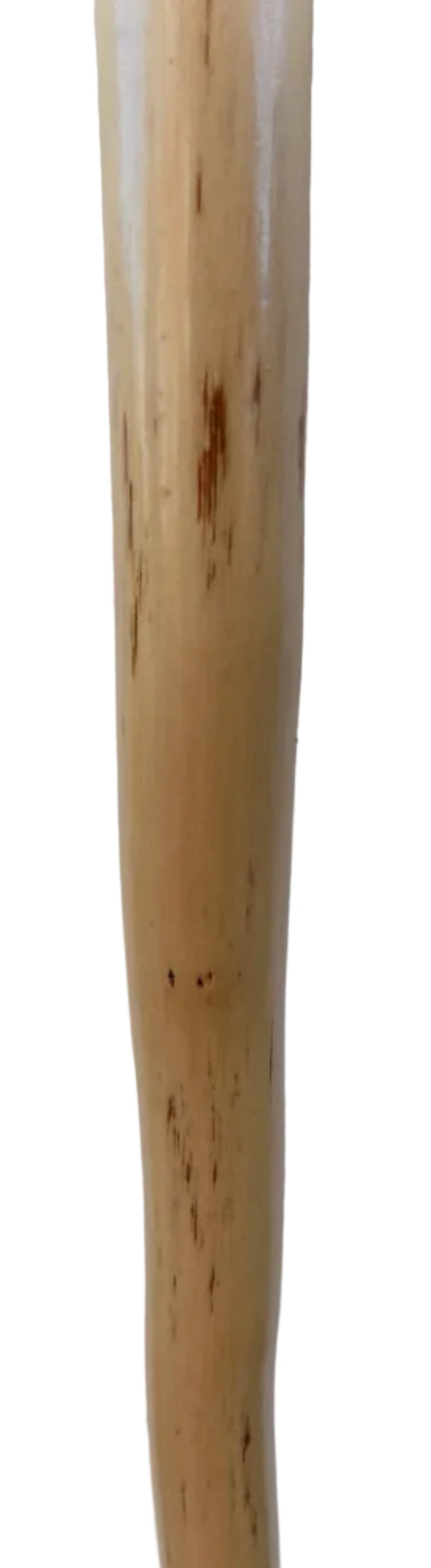 Hardwood Cap & Pointed Antler Mounted On A Debarked Hazel Shaft, Thumb Stick.
