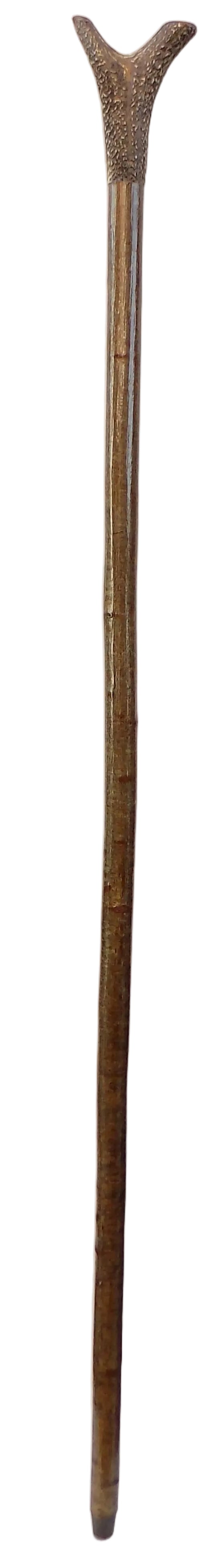 Hardwood Capped Antler Mounted On A Hazel Shaft, Thumb Stick.