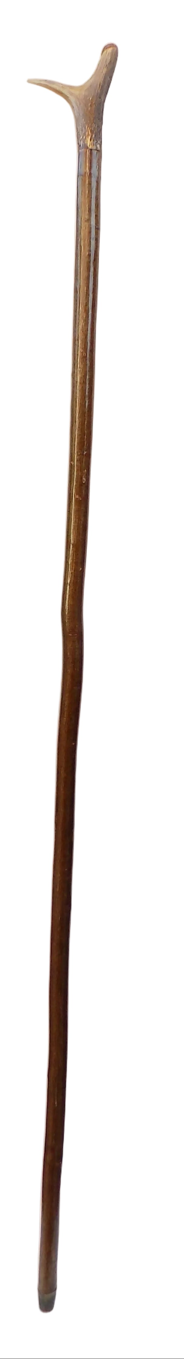 Hardwood Cap & Pointed Antler Mounted Hazel Shaft, Thumb Stick.