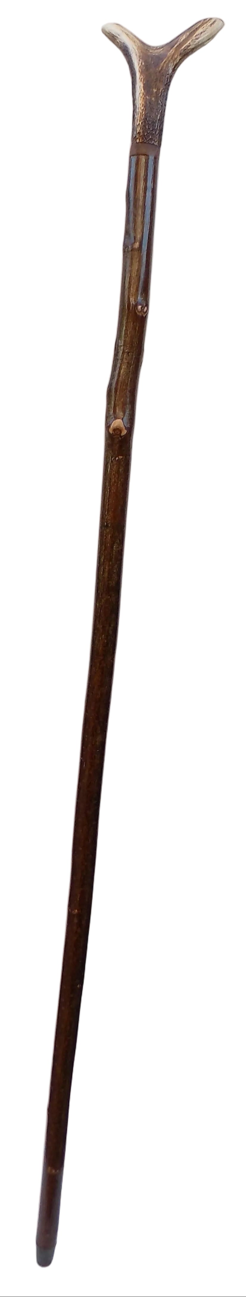 Hardwood Capped Antler Mounted On A Hazel Shaft, Thumb Stick.