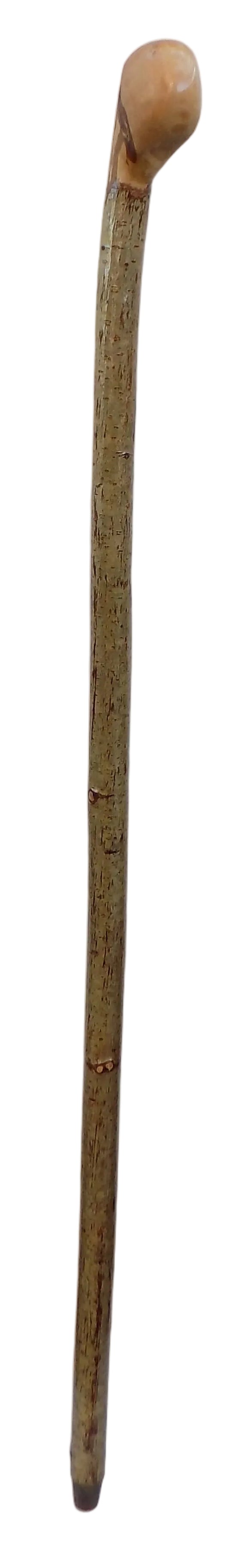 Hazel Knob Stick