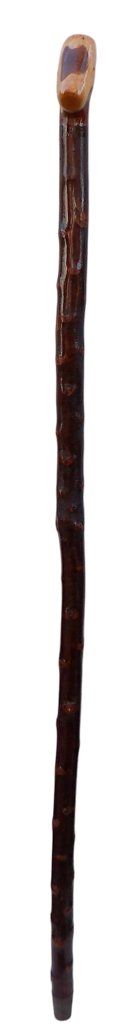 Blackthorn Shillelagh Style Stick.