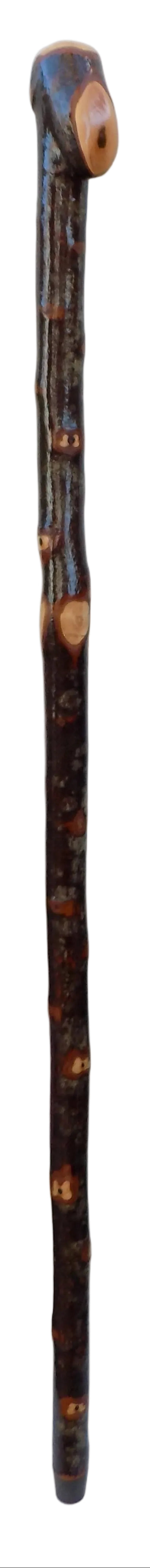 Blackthorn Shillelagh Style Stick.
