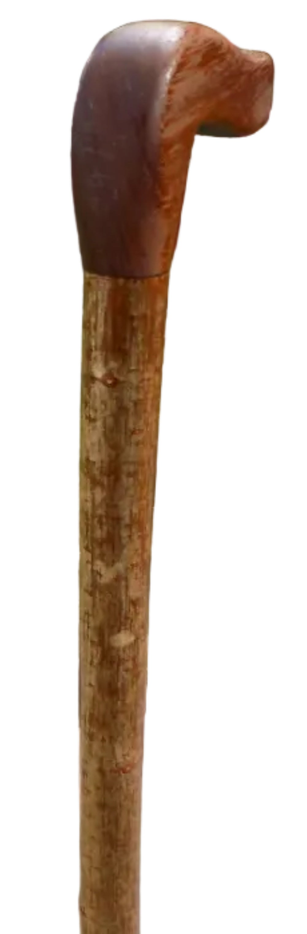 Hardwood Mounted On A Hazel Shaft, Walking Stick.