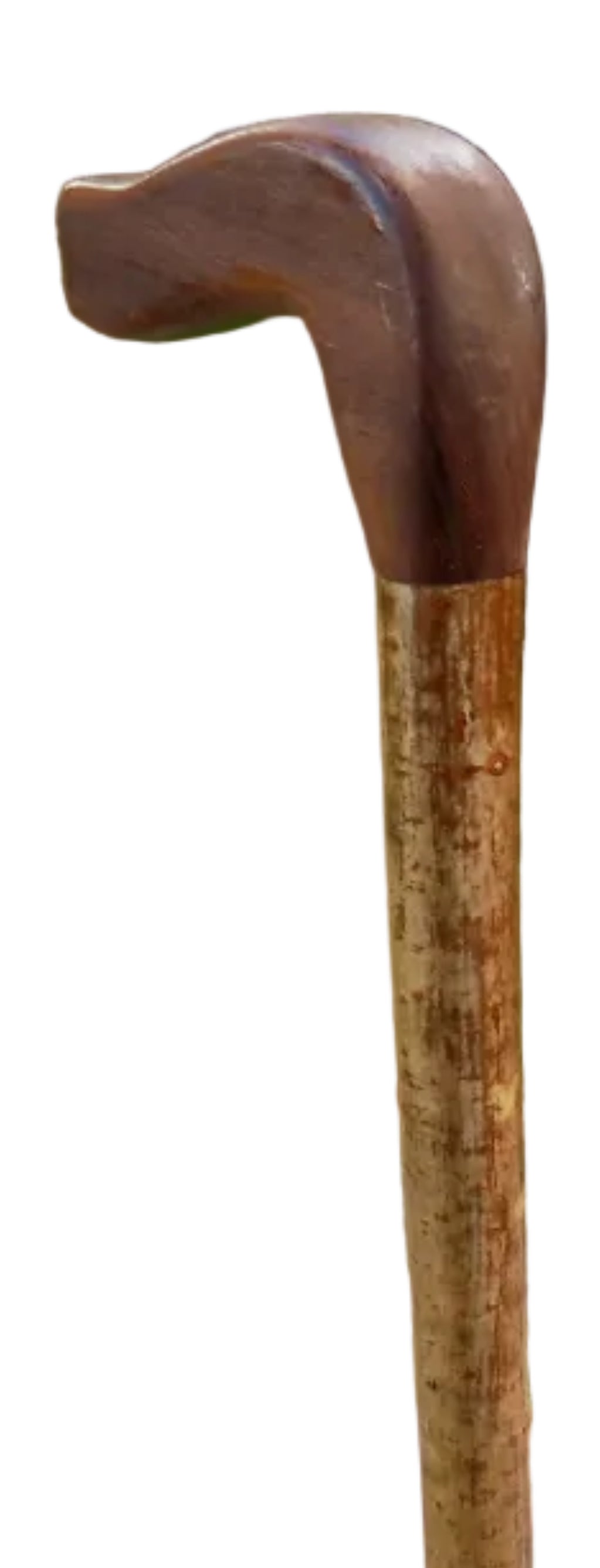 Hardwood Mounted On A Hazel Shaft, Walking Stick.